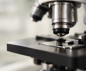 bio Research peptides